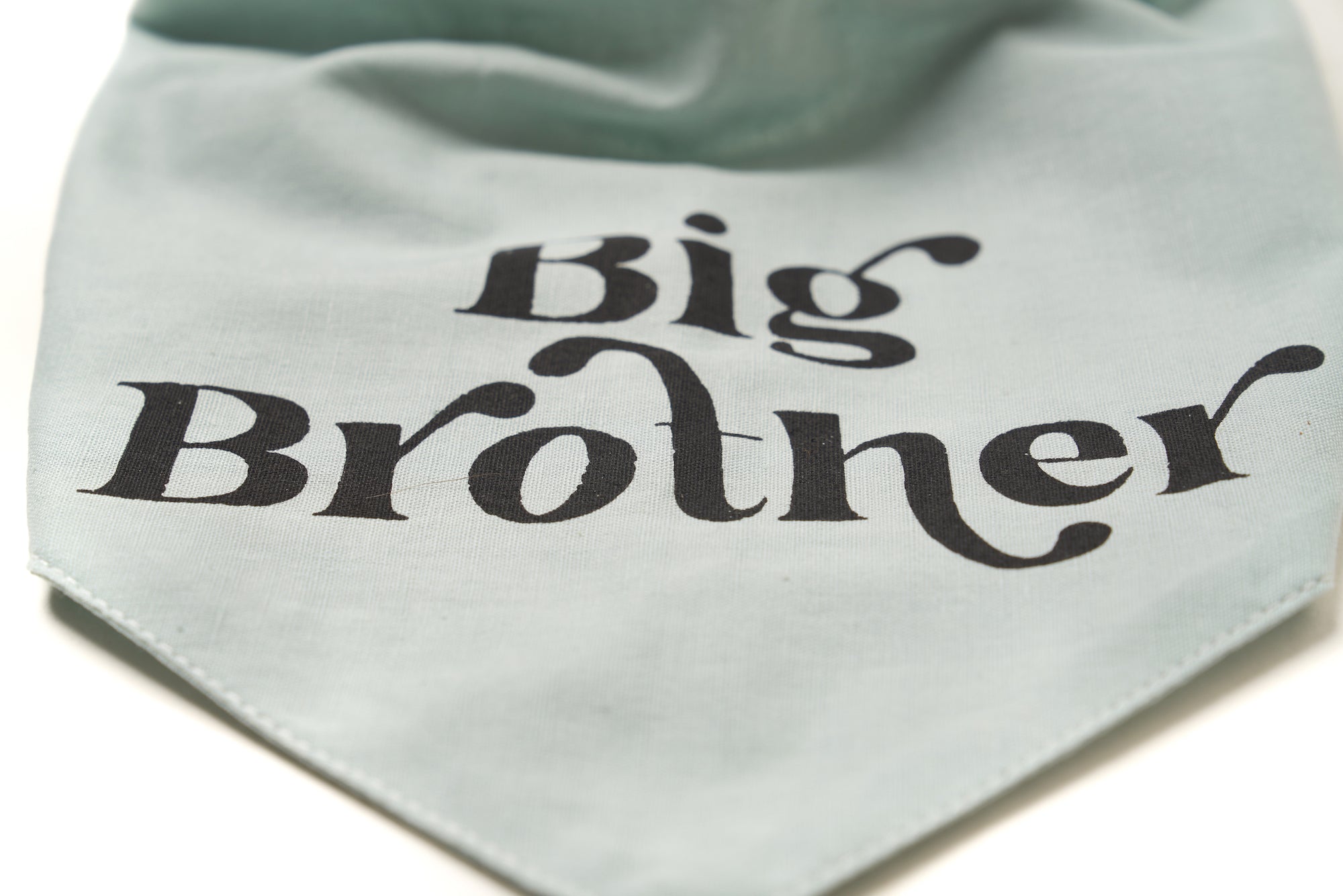 Close up Detail of Big Brother Black Text