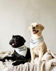 Big Brother and Big Sister dog bandanas