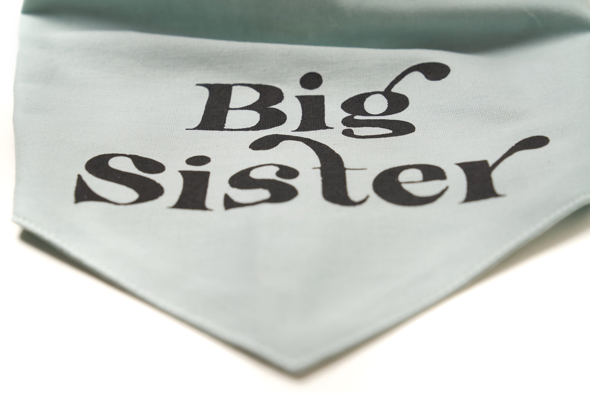 Big Sister Dog Bandana Close Up