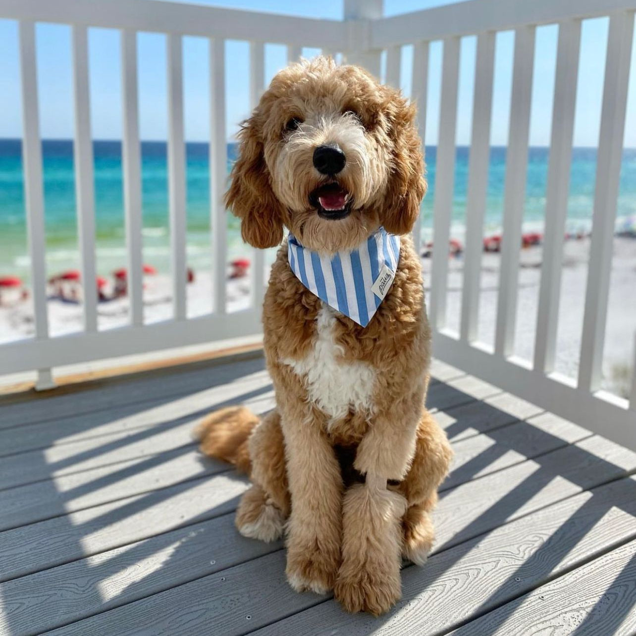 Cabana Blue Stripes - Bandana from The Paws