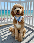 Cabana Blue Stripes - Bandana from The Paws
