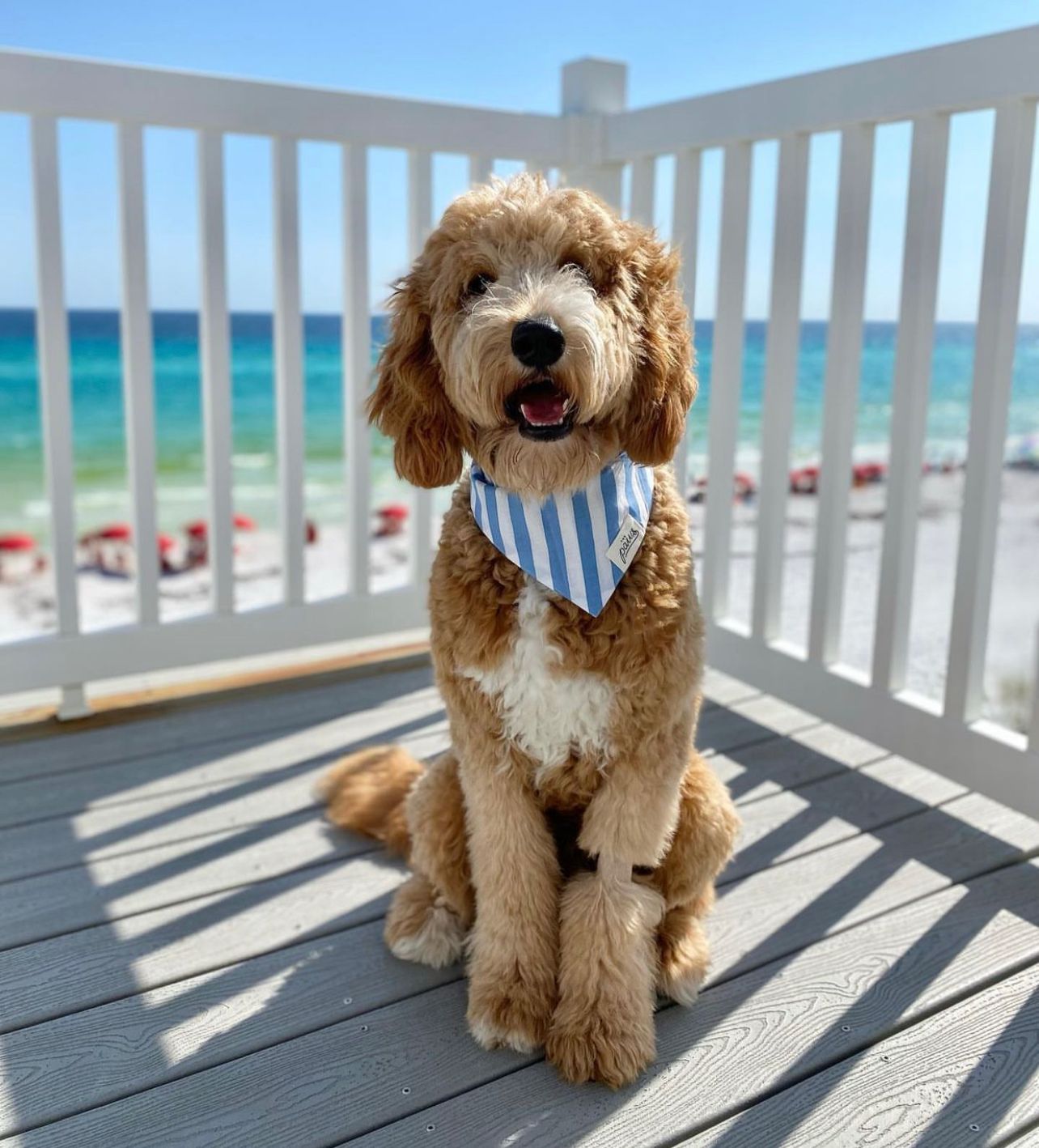 Cabana Blue Stripes - Bandana from The Paws