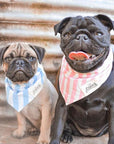 Siblings Wearing Matching Striped Bandanas 