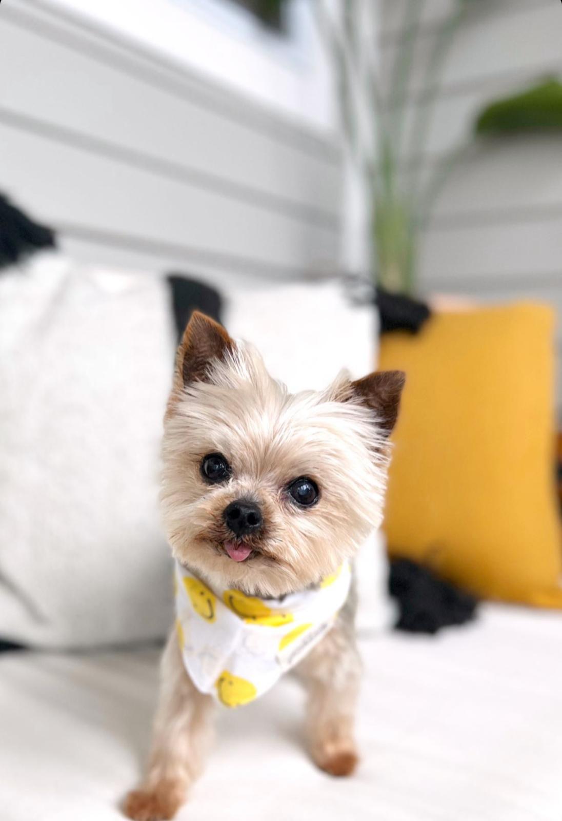 Elsie