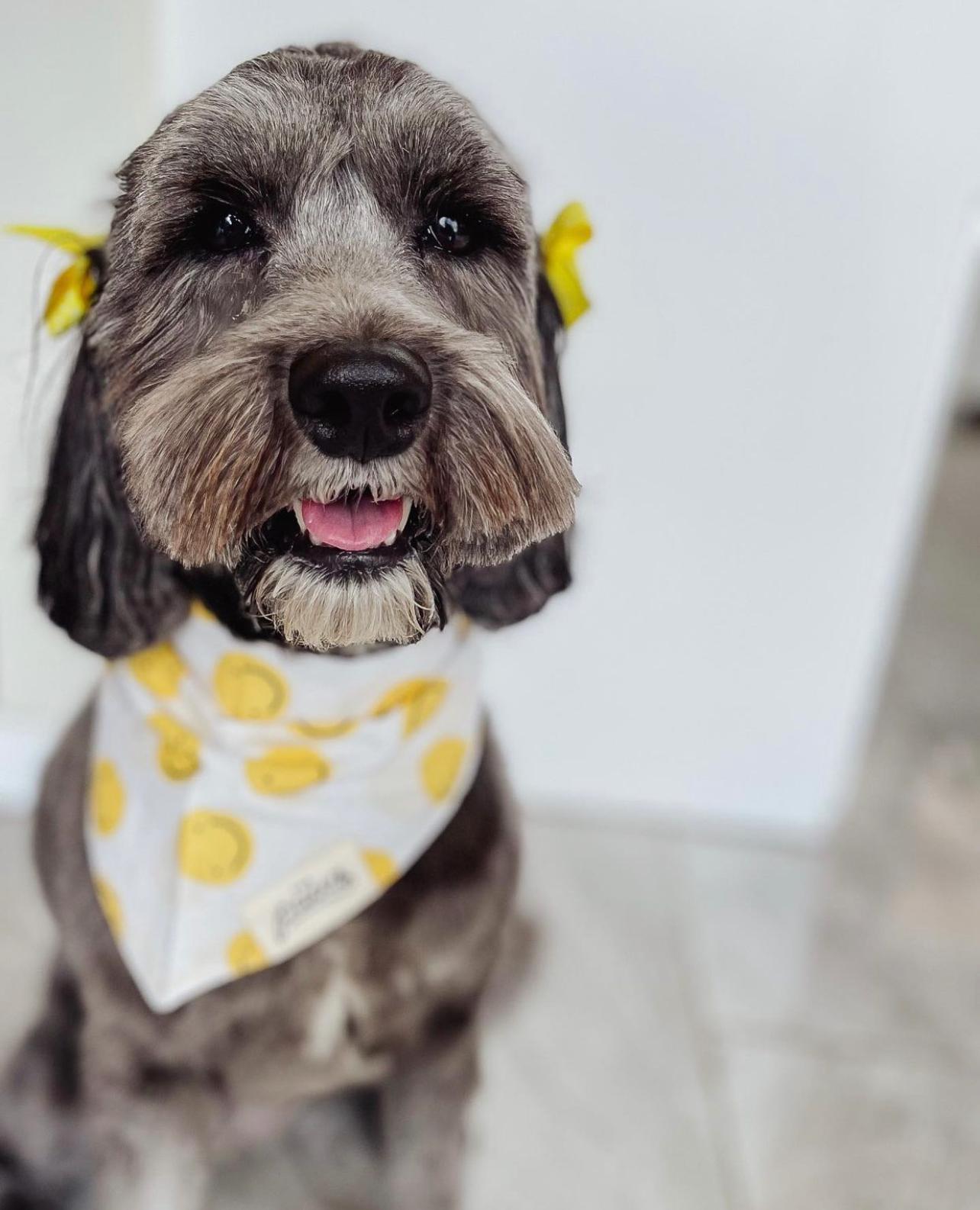 Elsie