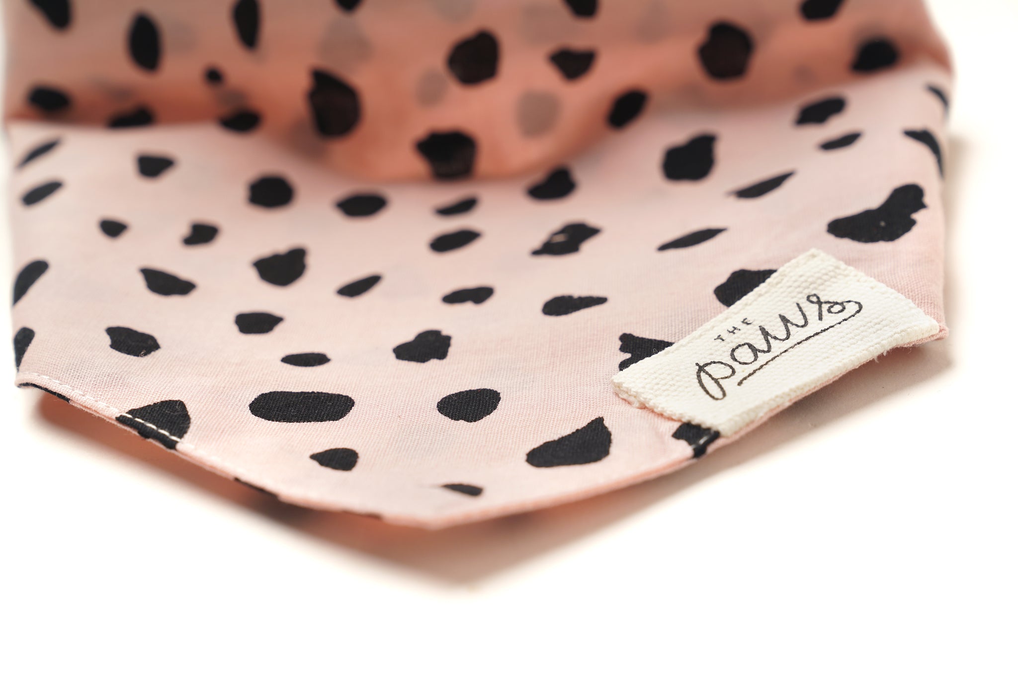 Fetch Dog Bandana