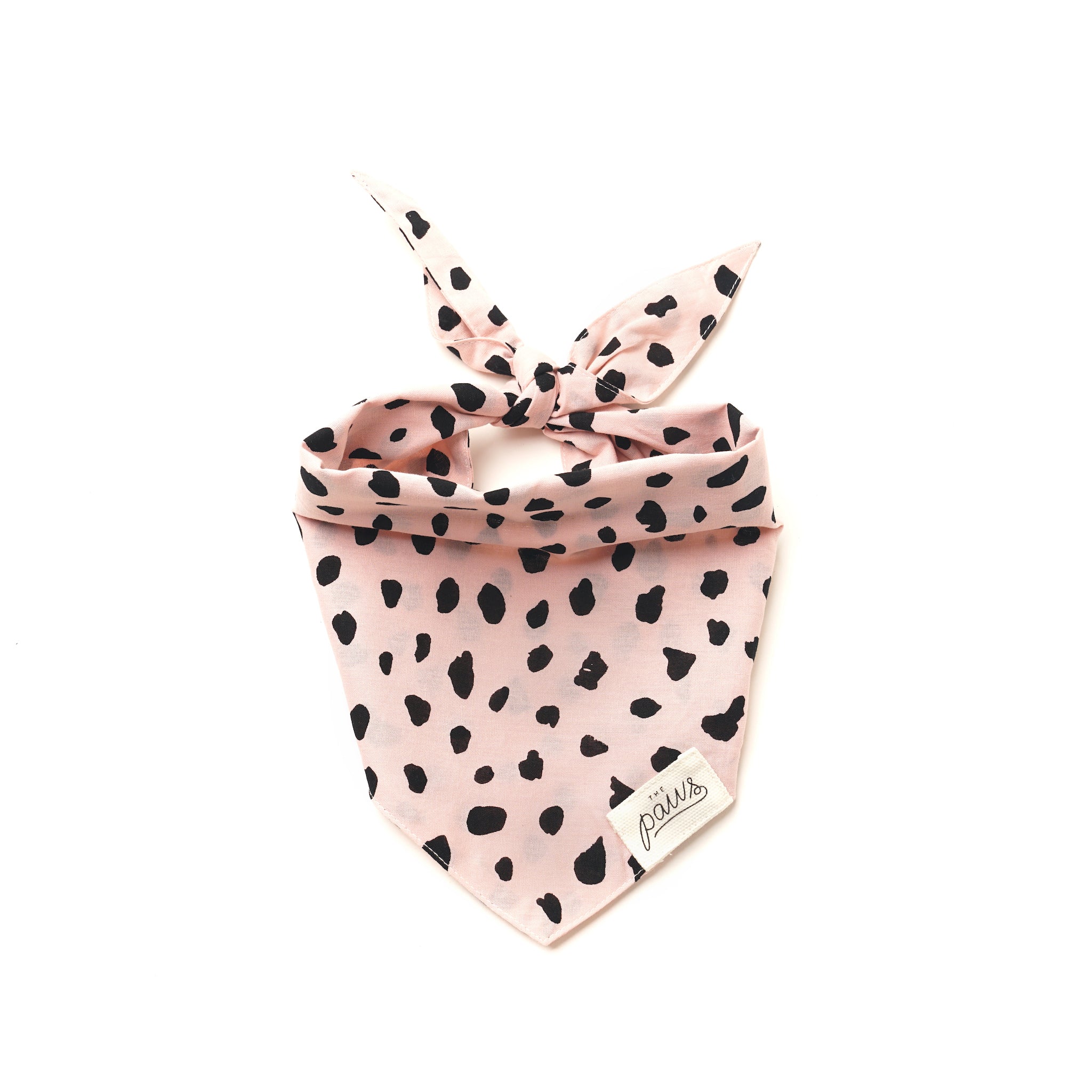 Fetch Dog Bandana