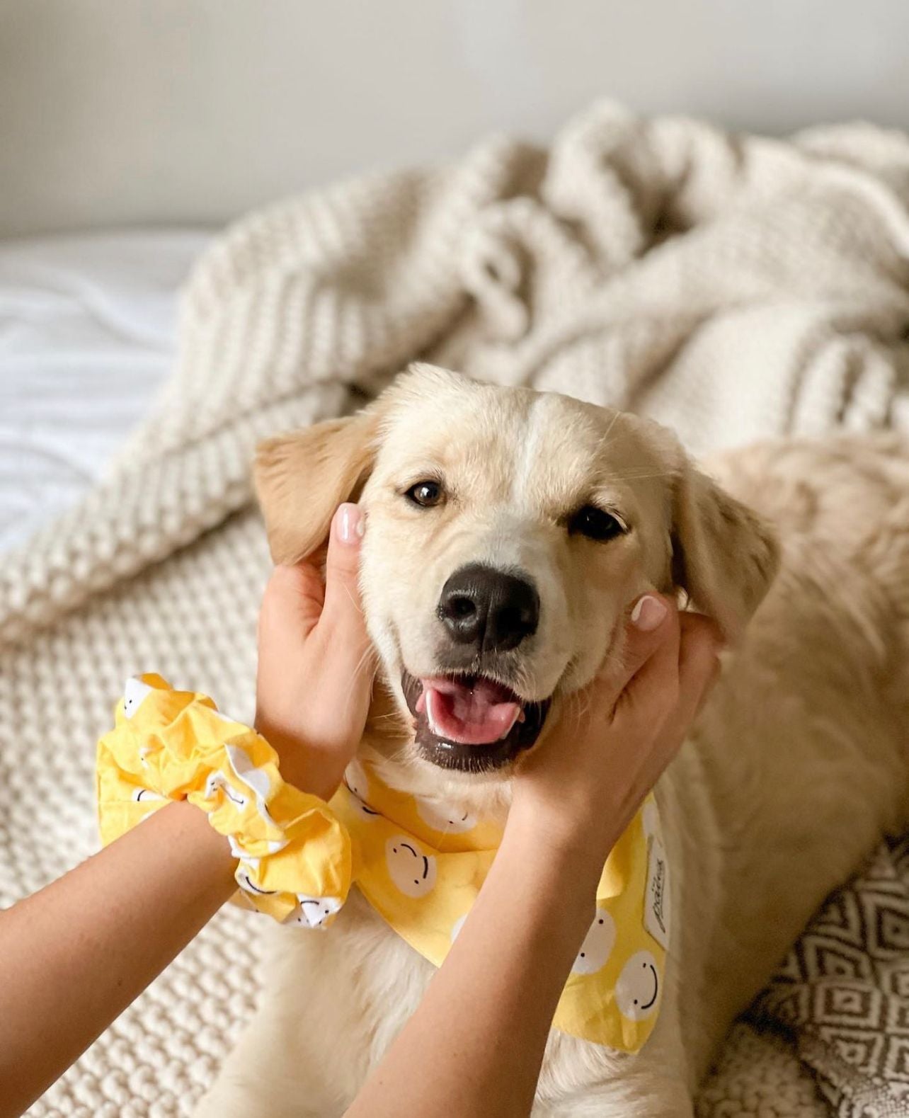 Friends dog bandana cheap