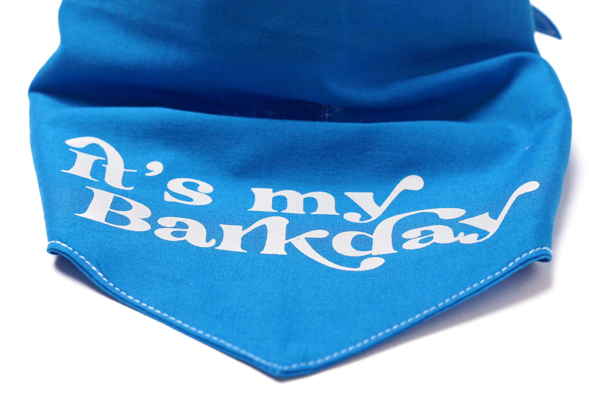 Barkday- blue bandana detail 