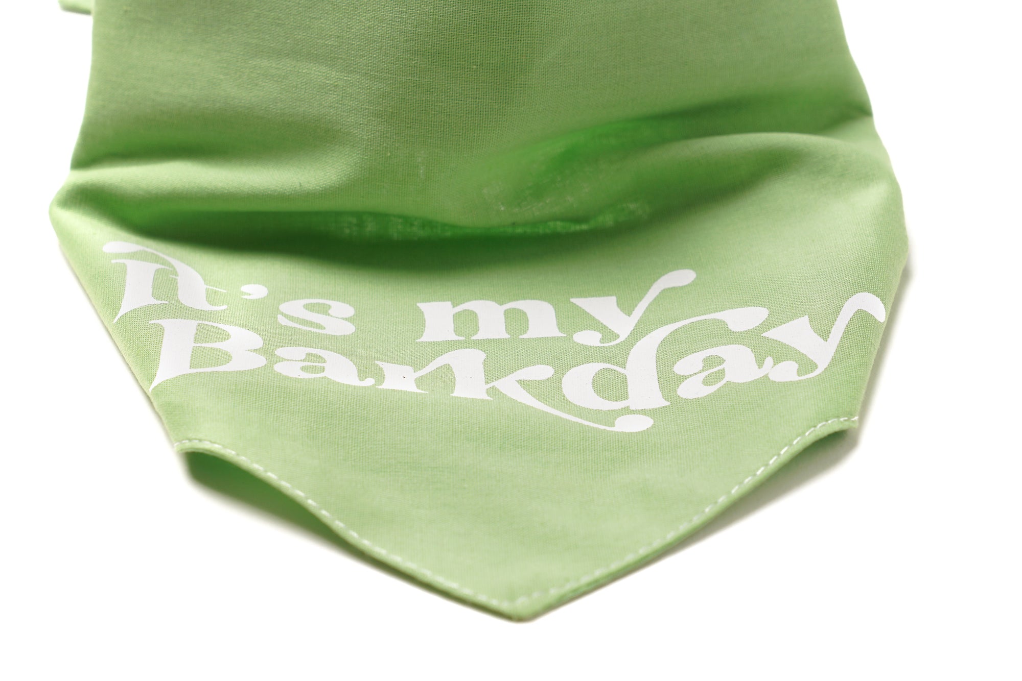 Detail image of the Barkday- Green bandana