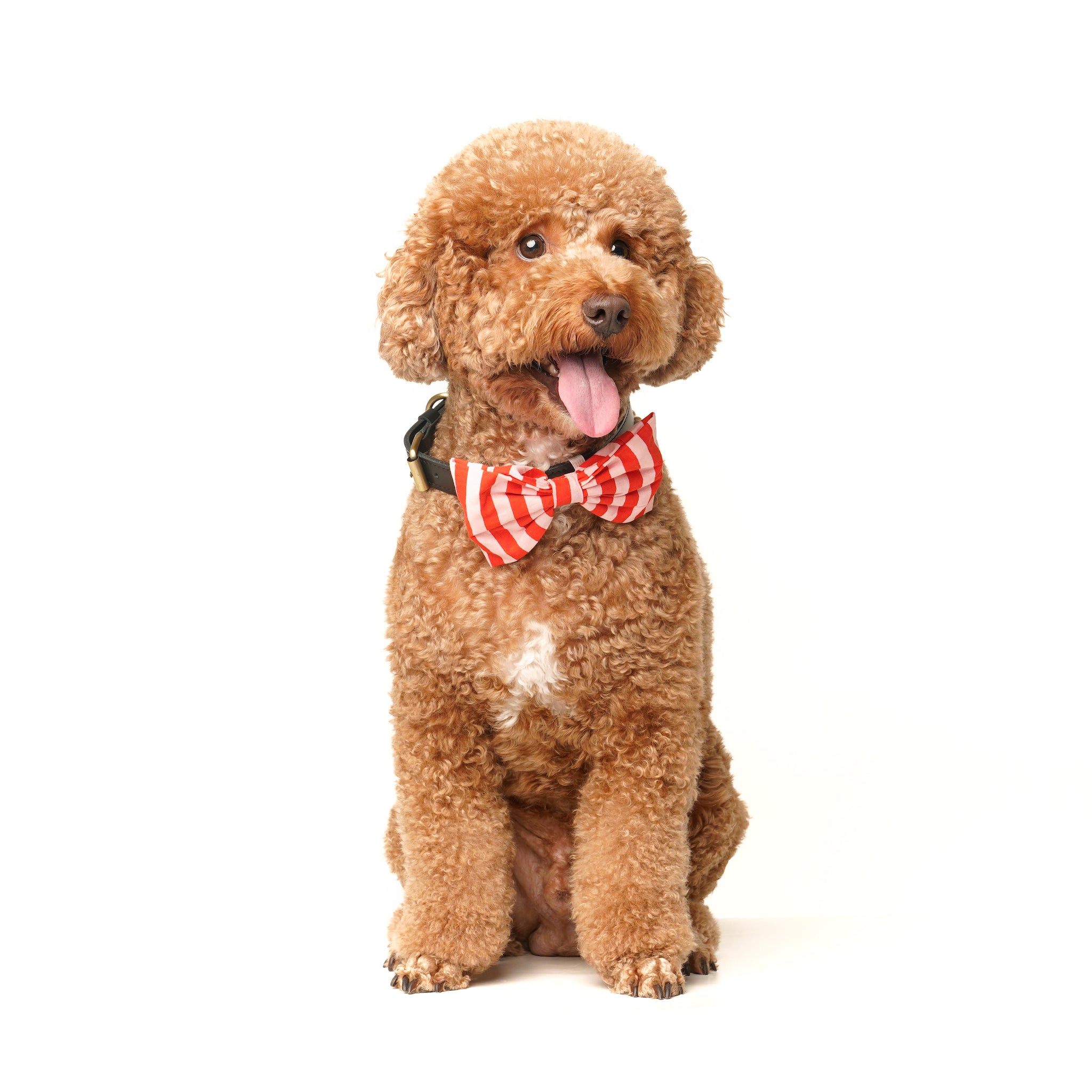 Love Stripe - Bow Tie