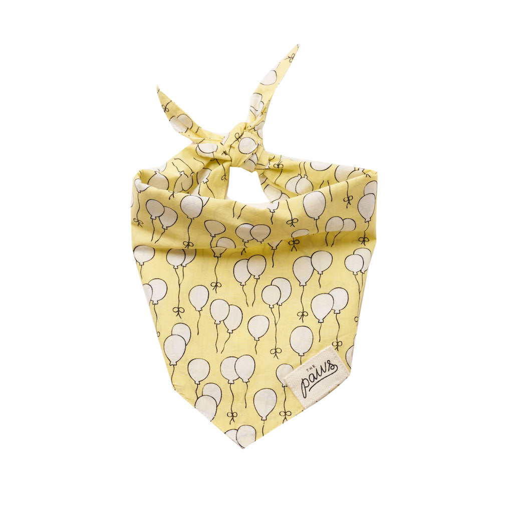Party Champagne bandana