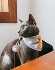 Patches bandana on a cat