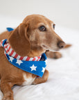 Piper in the Patriotic Bandana