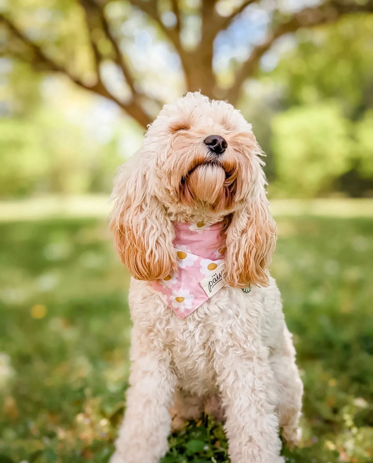 Pink Daisy Chains - Bandana from The Paws