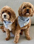 Sea and Perfect Wave dog bandanas