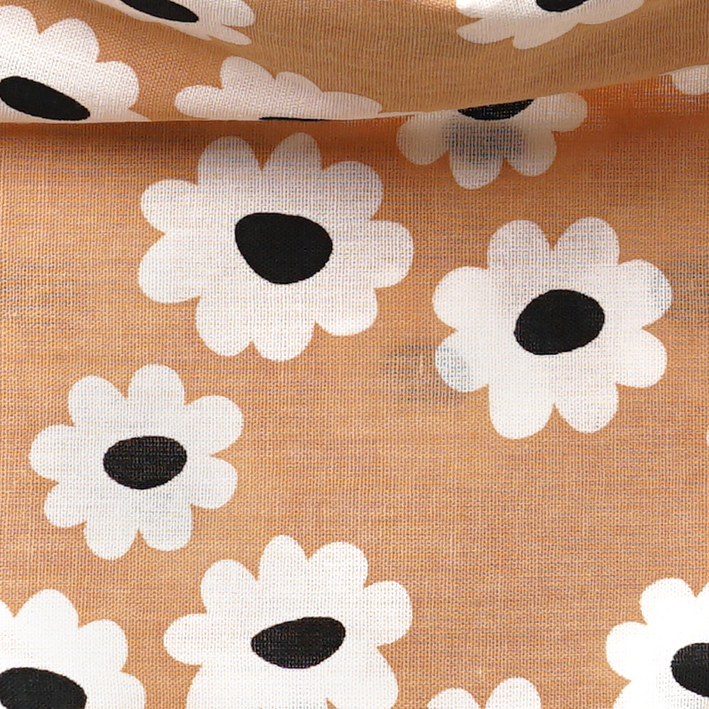 Sierra Daisies