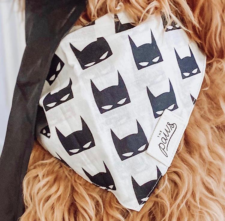 Detail picture of The Batman Dog Bandana