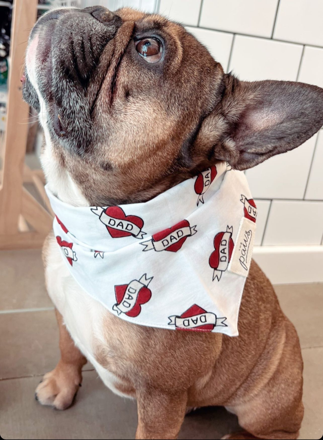 Love Dad dog bandana