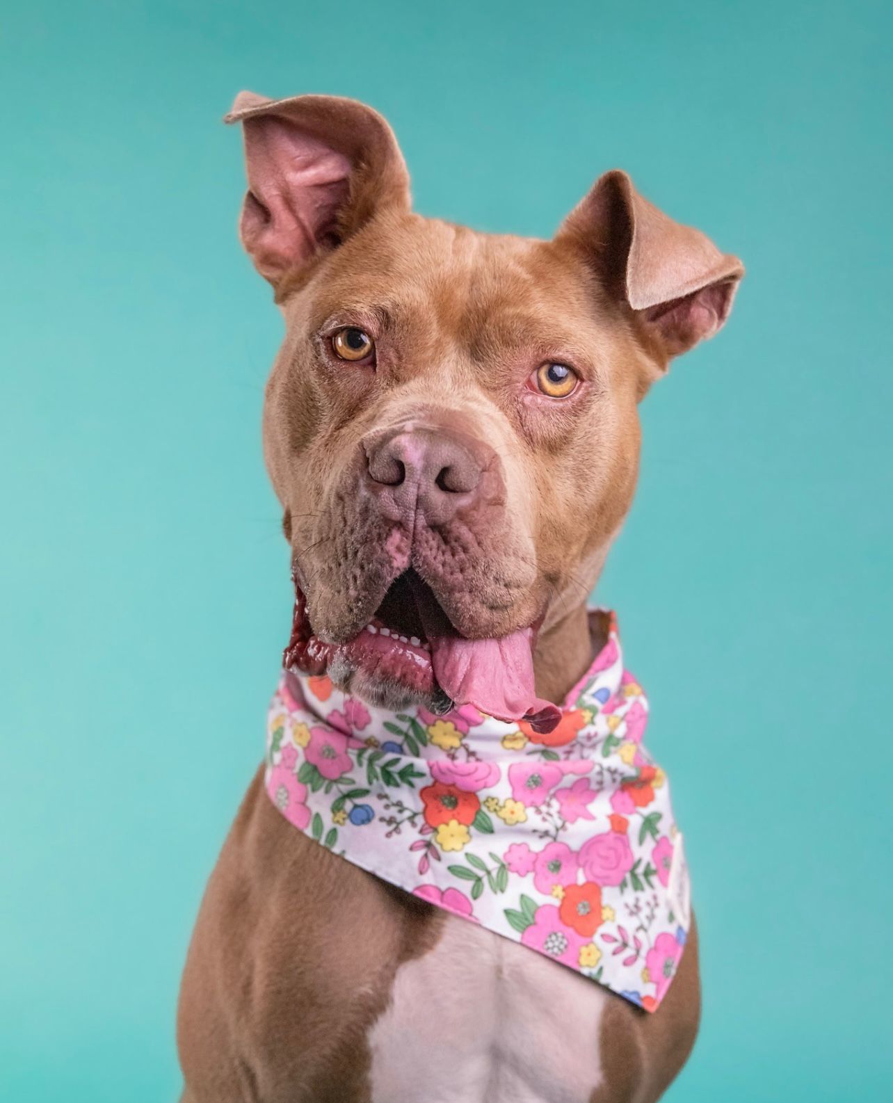 Blossom Dog Bandana from The Paws