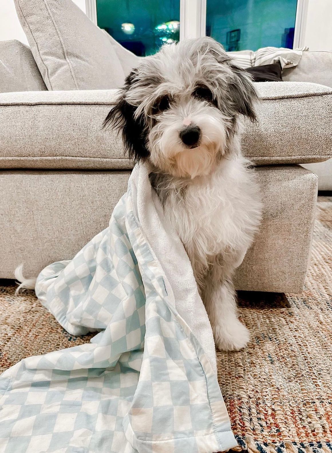 Dog Towel - Knight