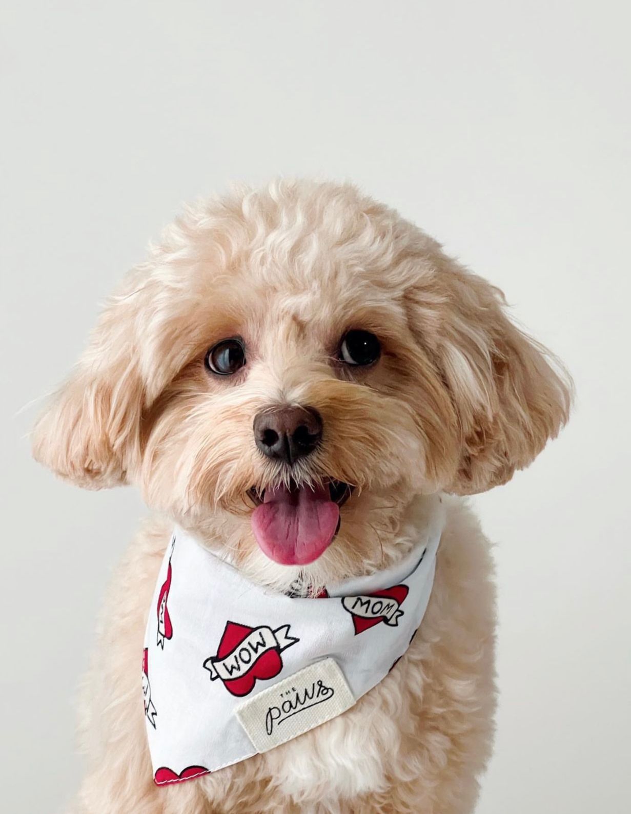 Love Mom Dog Bandana