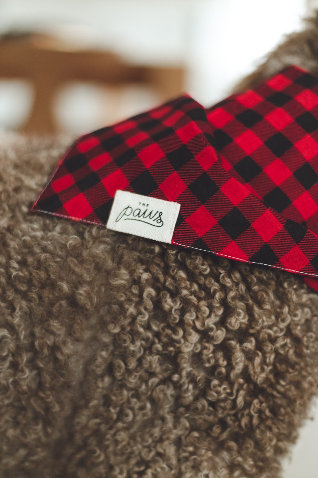 Whiskey bandana detail - from The Paws