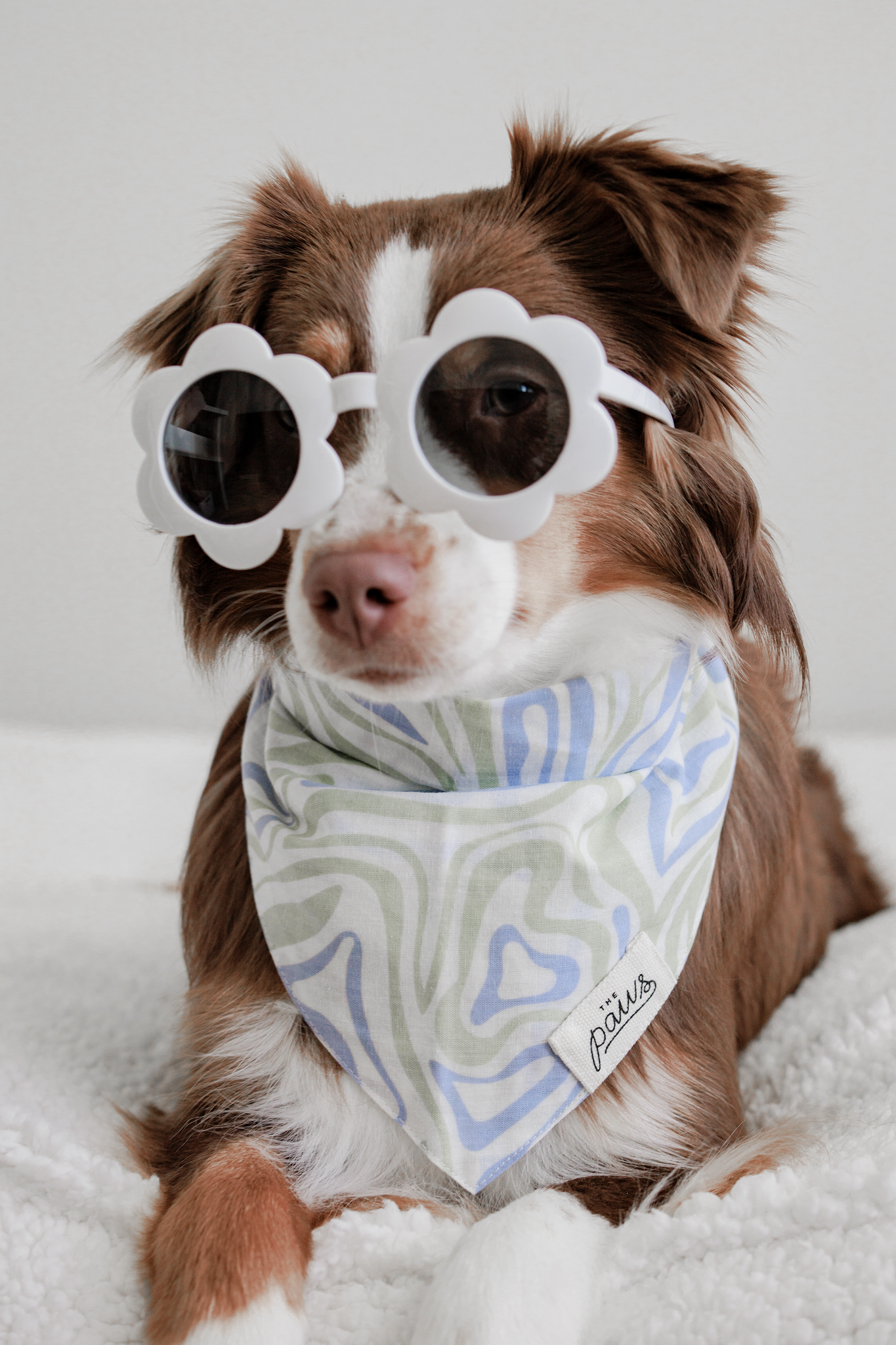Yeah Baby Dog Bandana
