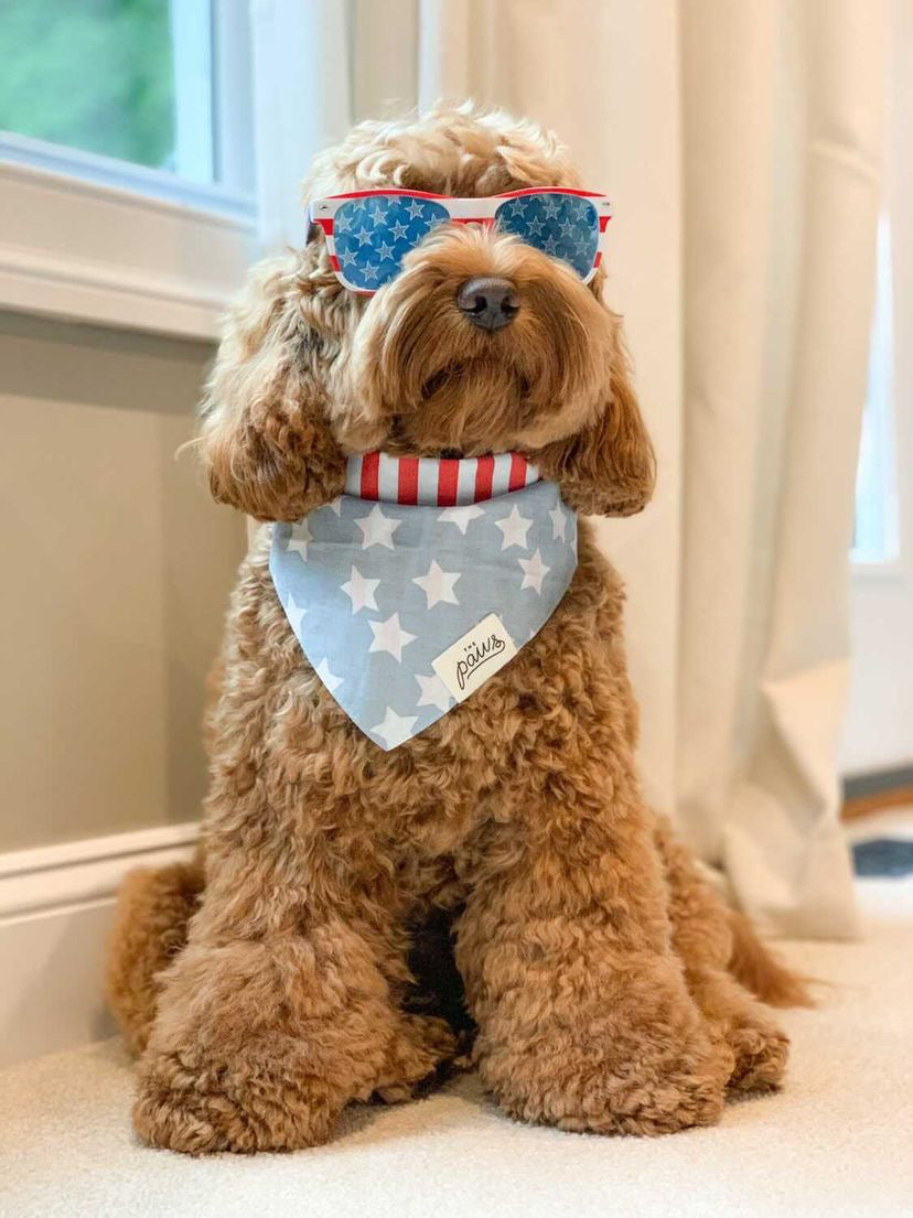 Festive Doodle wearing National Bandana by The Paws