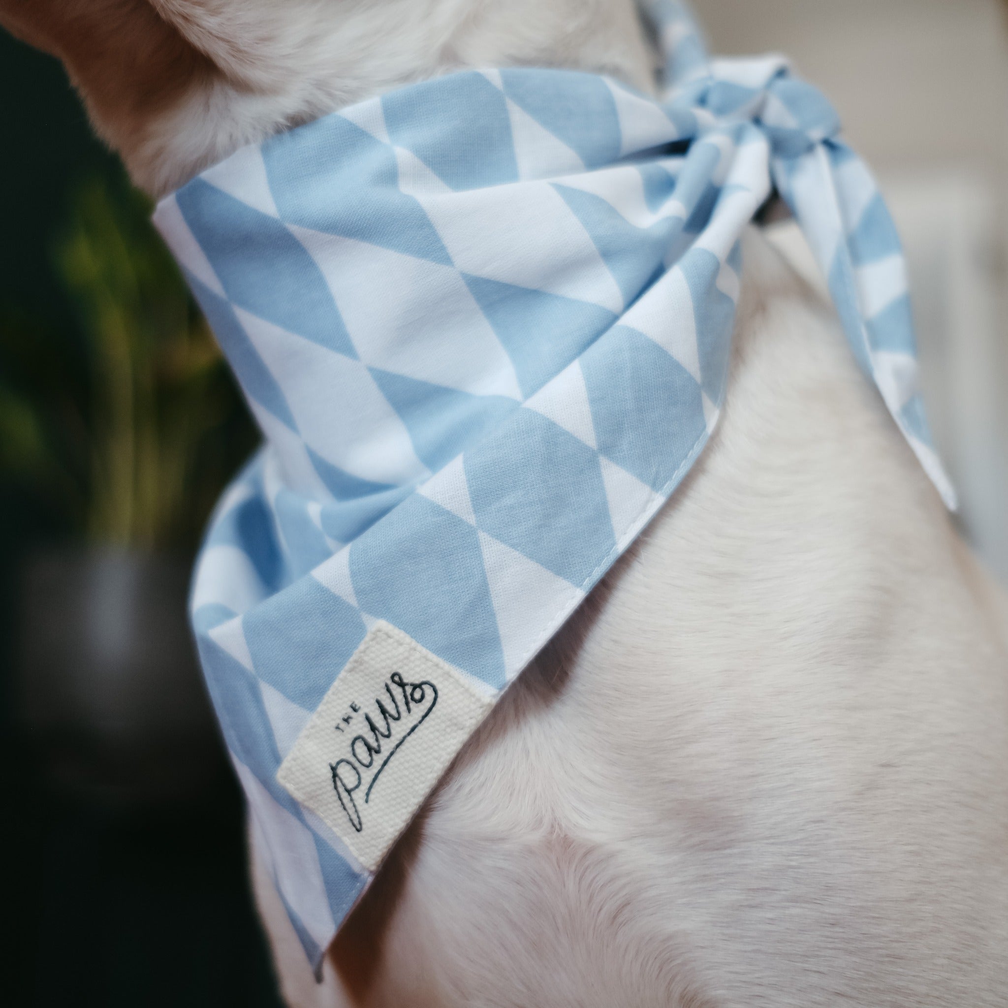 Basile Dog Bandana from The Paws